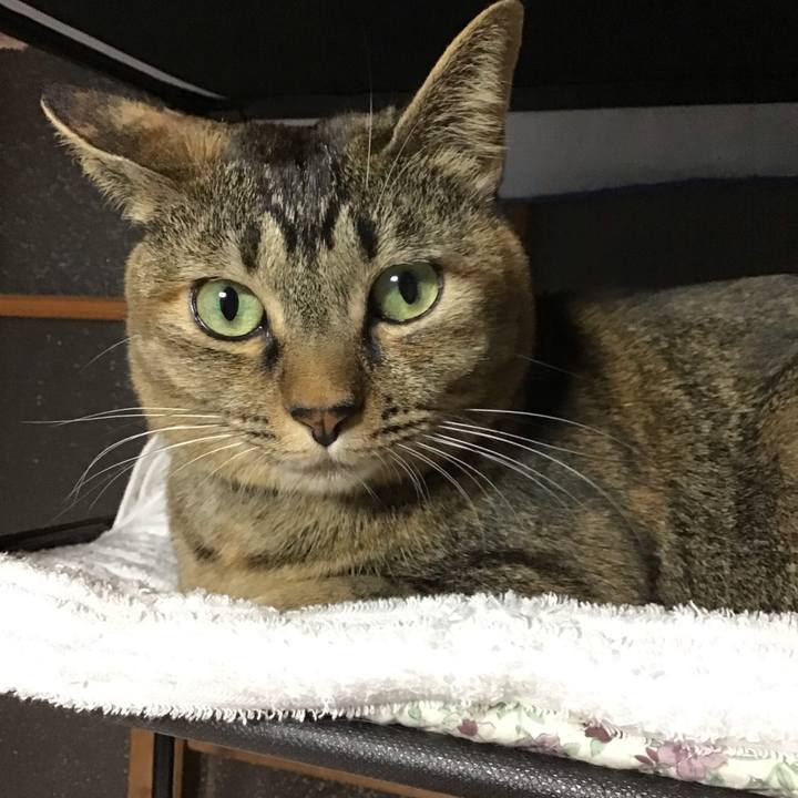 721e239e dbe4 4cb4 adff 621ff5bddda8 1635756704933