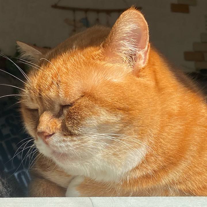 721e66af af12 4262 af28 0831999f10ea 1638235127047