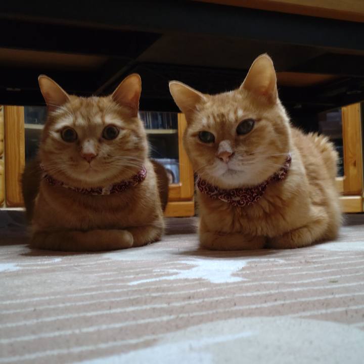 721e6a90 ad2d 408b 929a a39f5b2c2295 1707100786109