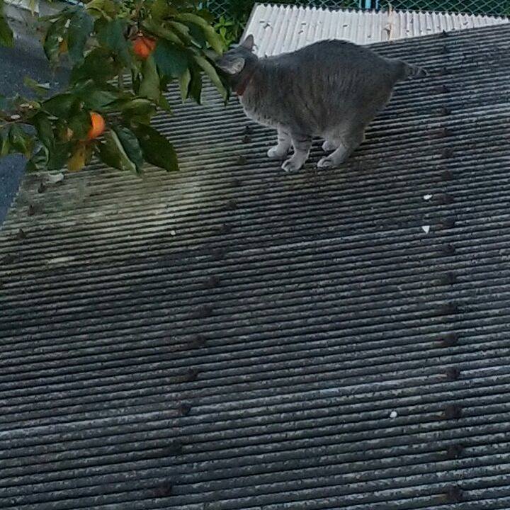 721e8843 6cb4 4f43 9710 90ad3b878f68 1573340161842