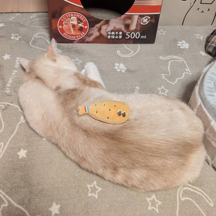 721e8d1a f381 4bc9 aeae 4e50389b89f1 1768912057667