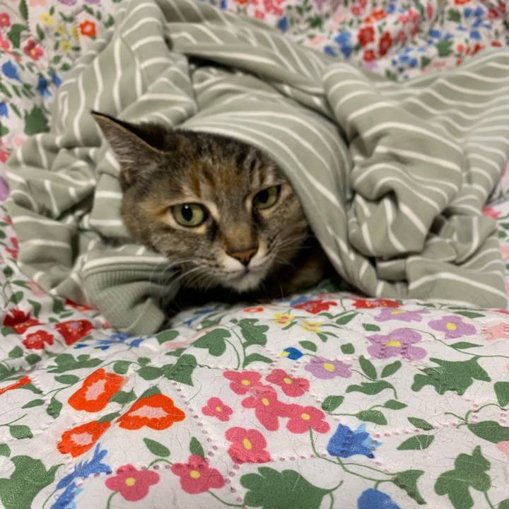 721eb5f9 c382 4e7b b209 a1bee5d430f5 1711676791814