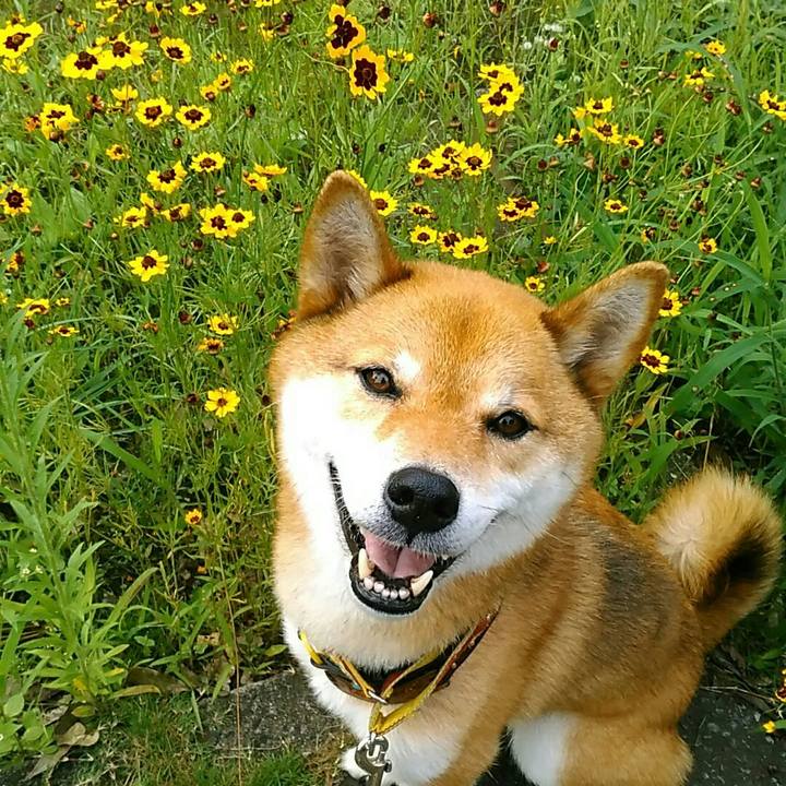 721ee442 1a52 4bdc 8f58 473ef7a65221 1563580391312