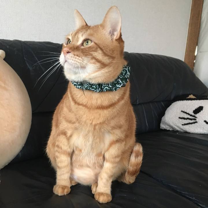 721efa7f def5 4fc5 9b87 aa8ae252ebf4 1552126588397