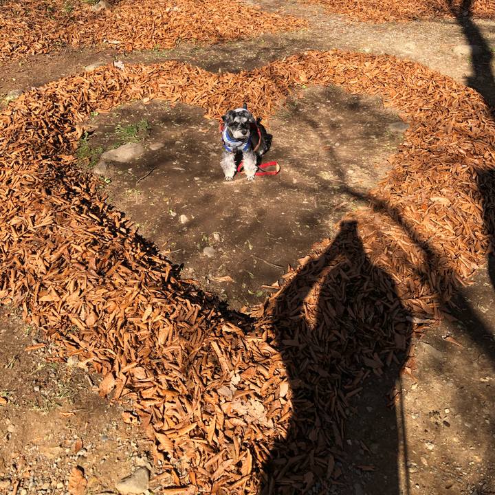 721f00d6 568b 482a 8c19 87d3efc49c7e 1668256541975