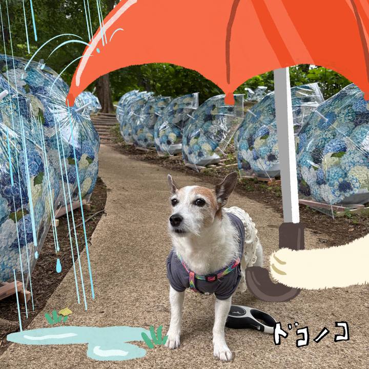 721f05f8 49b1 4792 b3e6 f71307109c8d 1749597168380