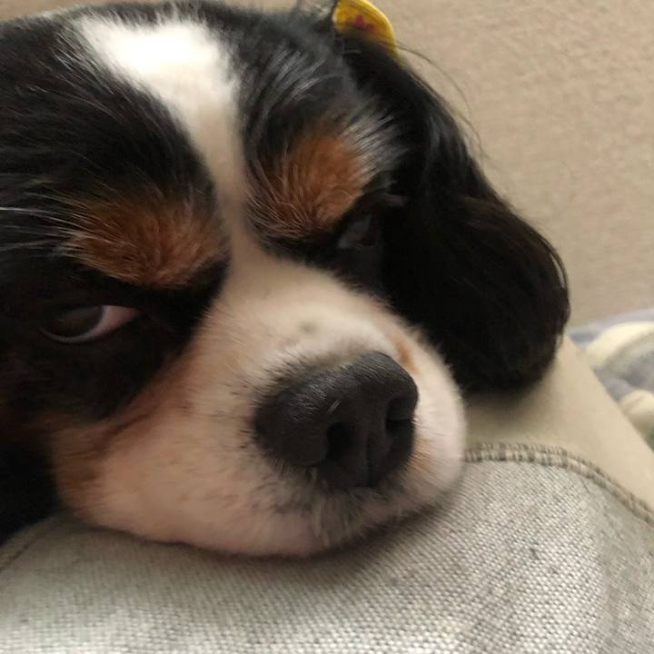 721f65ba cd4f 46ab a8ec 166c04f176ce 1596859443150