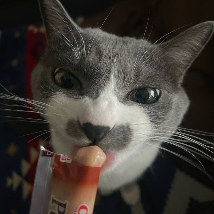 721f6b50 6412 42de 9faa fb185aea65f4 1672298828118