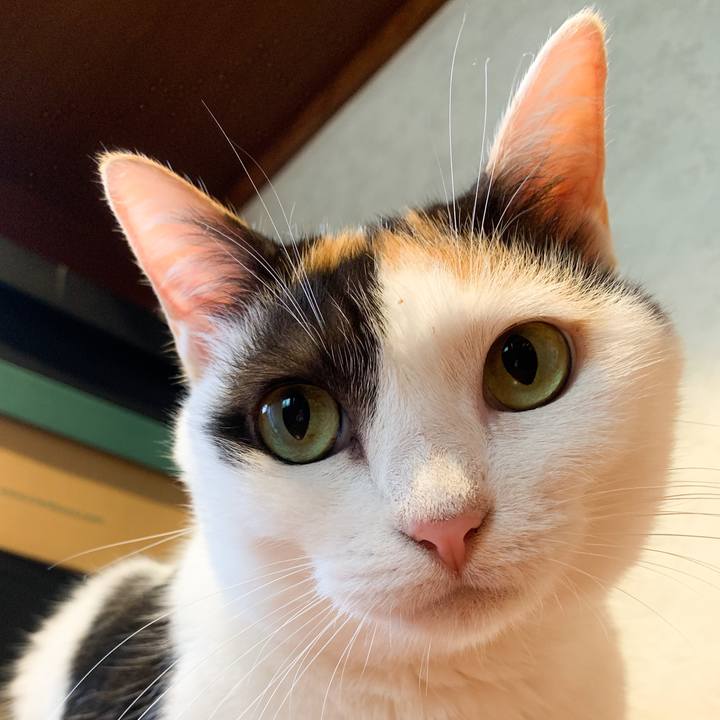 721f7989 8477 48f8 afde da88d0176627 1570500426000