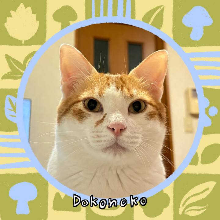 721fda8c 93b1 4ef0 b4fd c95db34527be 1761907332106