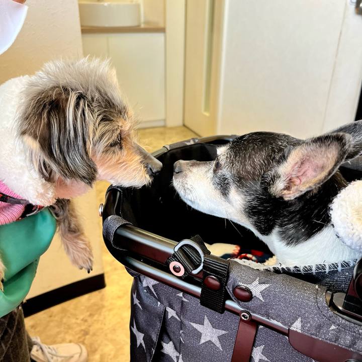 721fddb6 ca89 4ce7 8f12 c5d770db4f71 1645857354820