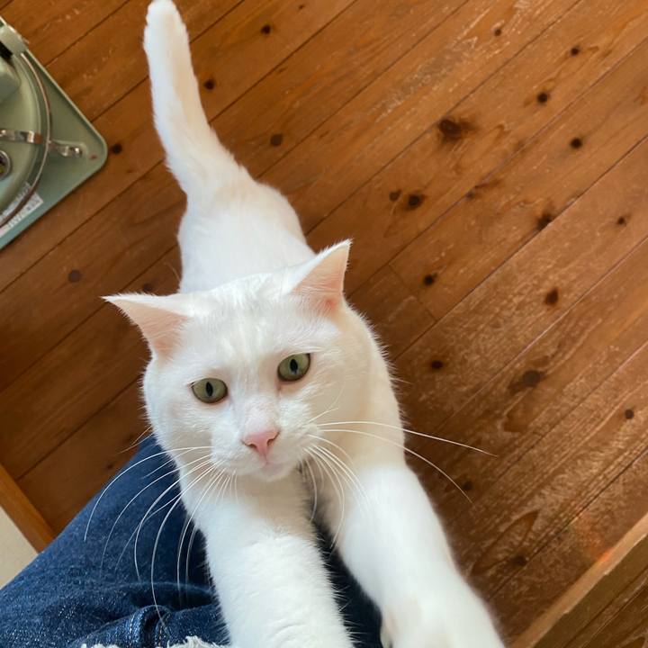 721fe035 4ee8 49b9 978a 76d4d5bae9aa 1610977481537