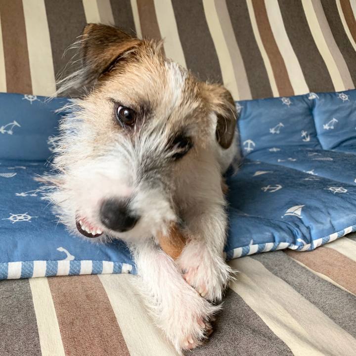 72200454 8e1c 4654 90e8 f99fffddeb8f 1568170524487