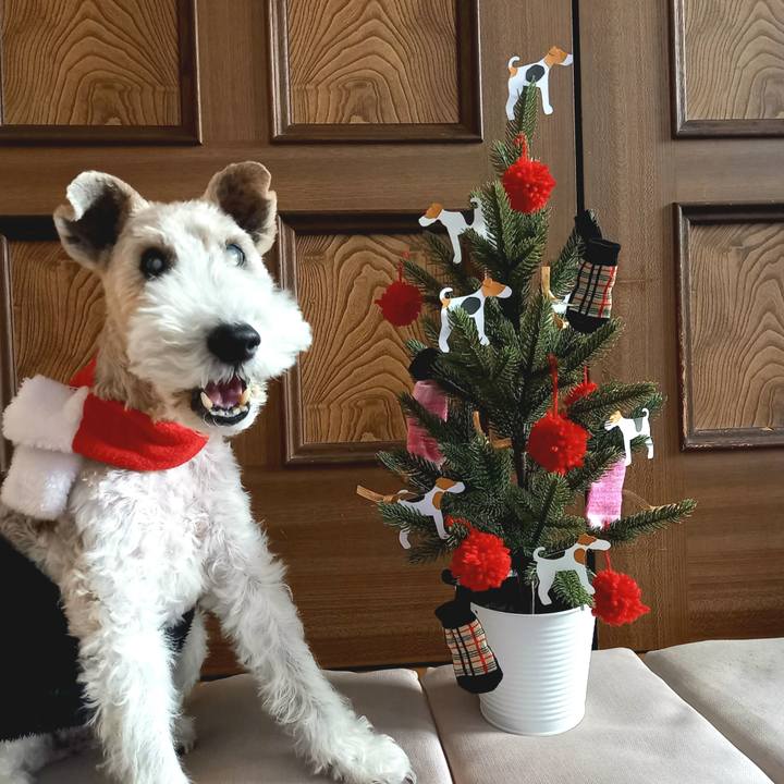 72202203 60cb 4797 a461 17801750b8af 1607739185156