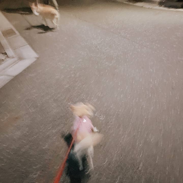 722024c7 7299 4877 a7b1 7f9c4ec3be59 1662461436072