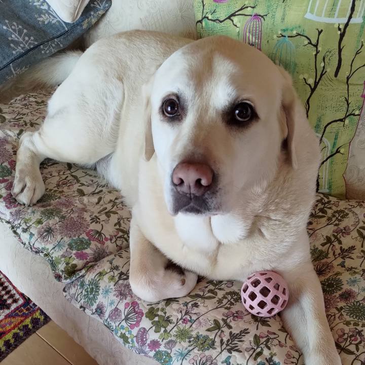 72202eb5 31ec 4de9 bcee 70b4dbf6ad00 1717030174300