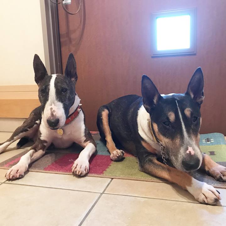 72203700 8167 48a7 a429 fc2bcf0a8538 1525164915859