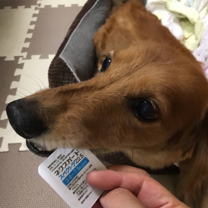 722049cc 1a5c 4de0 8a35 939e07deb610 1527258525140