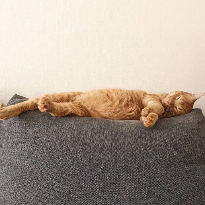 7220645f 06ea 40ad afac f1012520db57 1655511435900