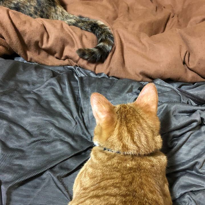 72206eed 32be 4706 aeb4 a98126c457ac 1559482240217