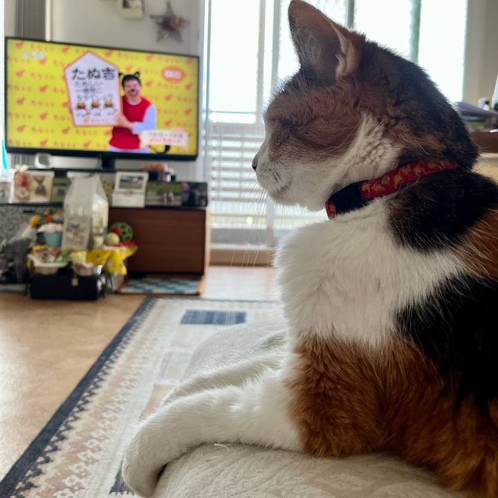 7220a66a 9cb1 4429 8c56 11ce219824e5 1696197813863