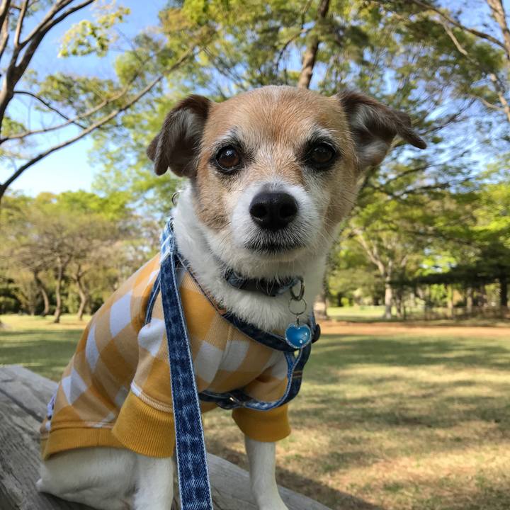 7220a8aa 92e5 4d3c a979 b196181ed784 1617781507611