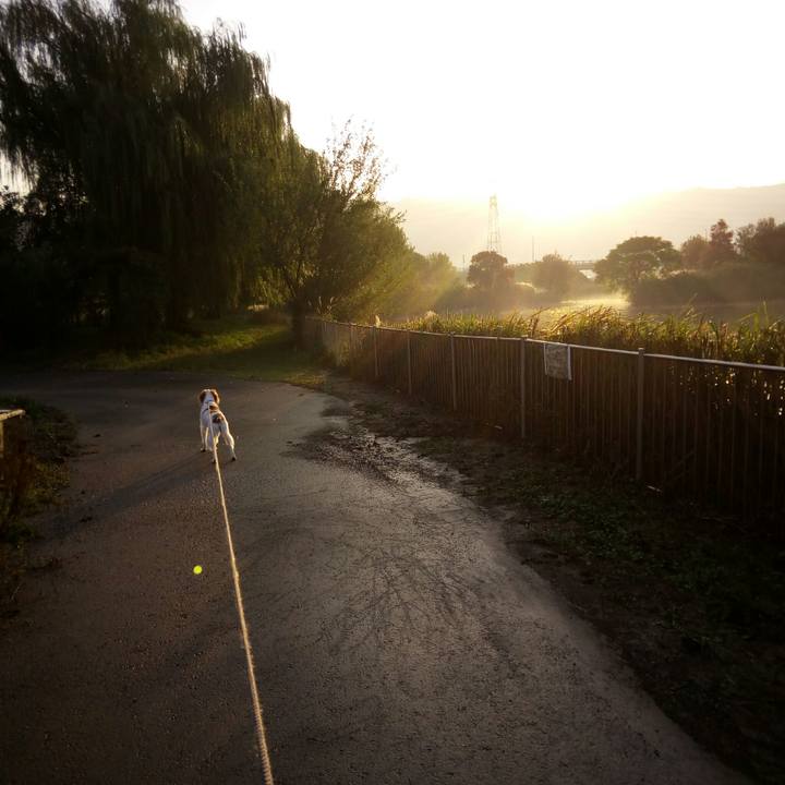 7220cb8d aaa5 4ecd a032 75b8c230aa5d 1510490520436