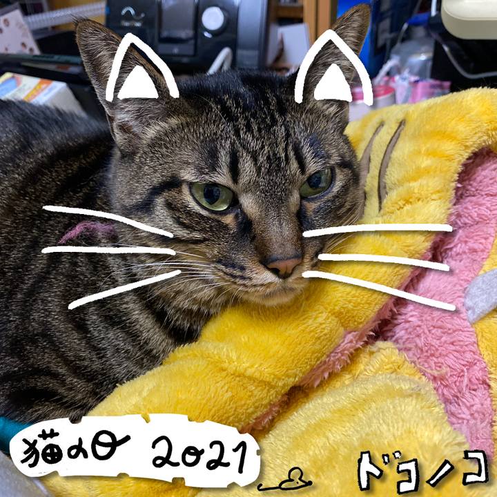 7220d9ea 0f9d 4b9e aa69 b38403868555 1614002038283