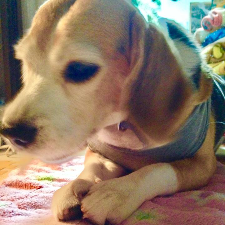 722100ce 8d28 4278 980b d309e7640c8f 1758713753410