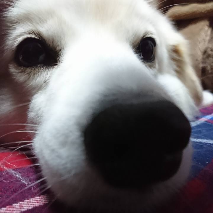 72212834 f510 41b5 b03f 02664fd38de3 1510572307258