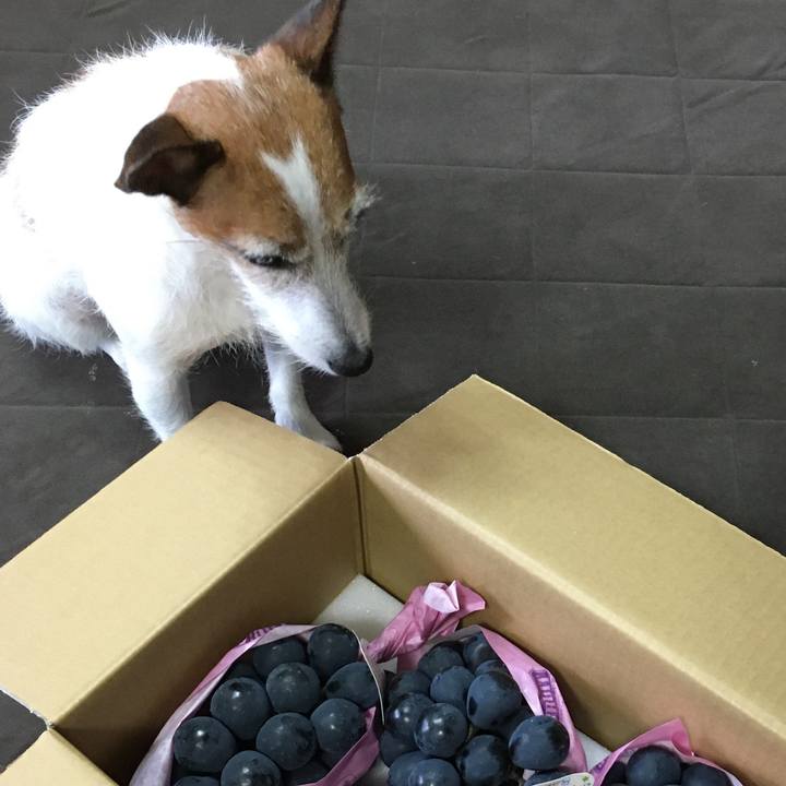 72214588 39da 4a61 a9f5 d289a694690c 1631748362248