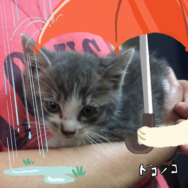 72216051 fdac 4a80 b886 4b954c7787e6 1749437630519