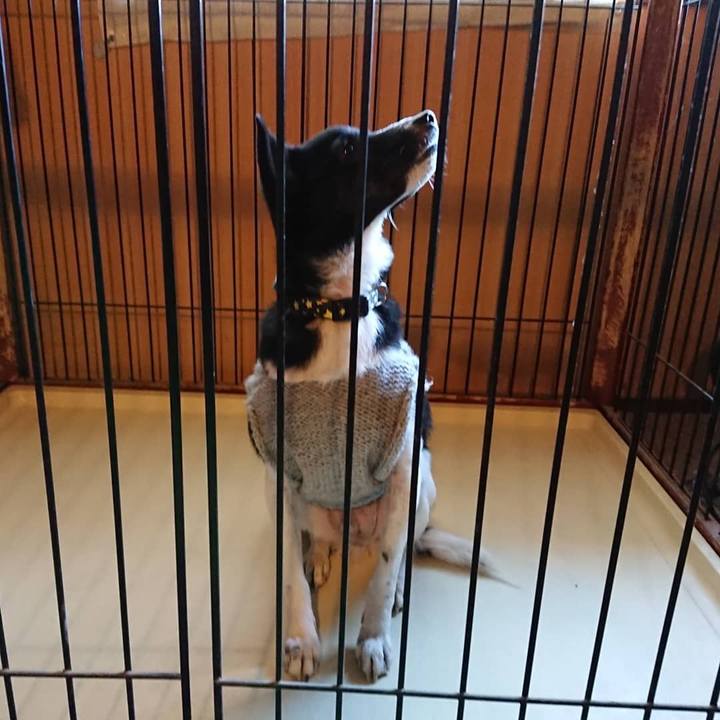 72216a0c 795b 46eb bfa9 4ad7d8606563 1545750578944