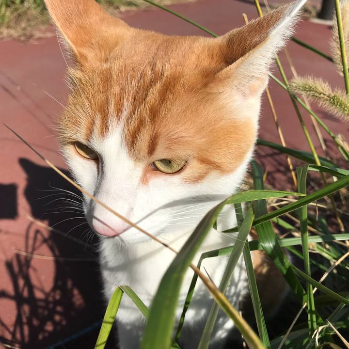 7221723e 6c0d 4663 8bea 945a7f7556a2 1510199622261