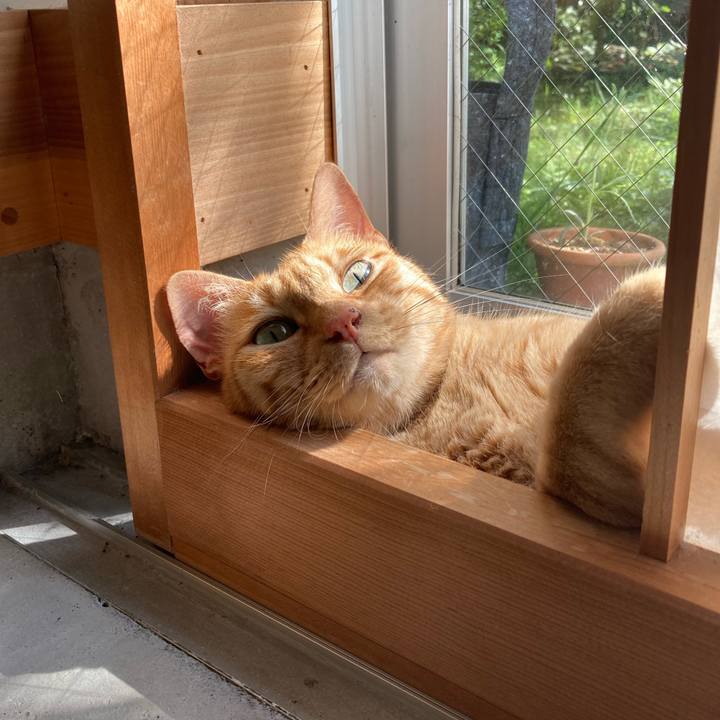 72218190 990b 4e58 adf6 4bad9e9f32a2 1632356693012