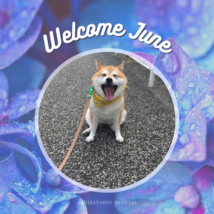 72218230 7f82 4018 bcc6 fc2a5f4e1366 1654041594014