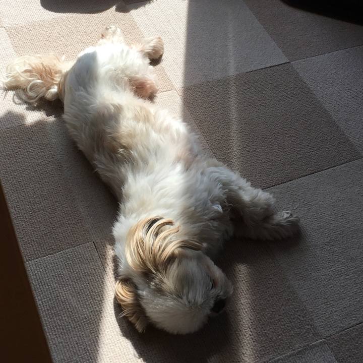 7221a3a7 a894 4197 9330 6ef17a0a3436 1646628416596