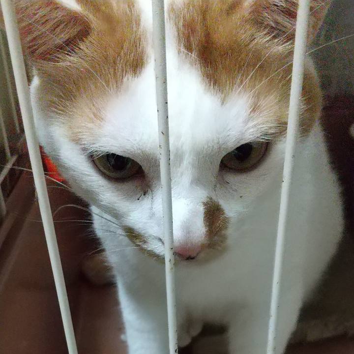 722284c2 c817 42e4 b2fc 5c5d462ea924 1660985062606