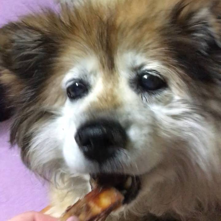 7222ed26 c513 4866 b057 516c7ddcc92e 1599239421494