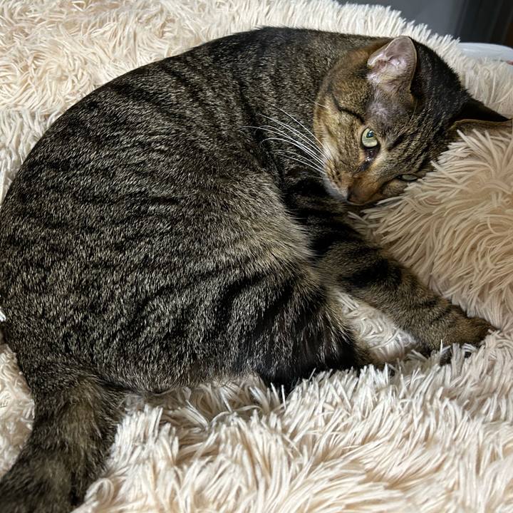 7222fce2 5b00 4009 a01e b8cc981d9026 1728808398430