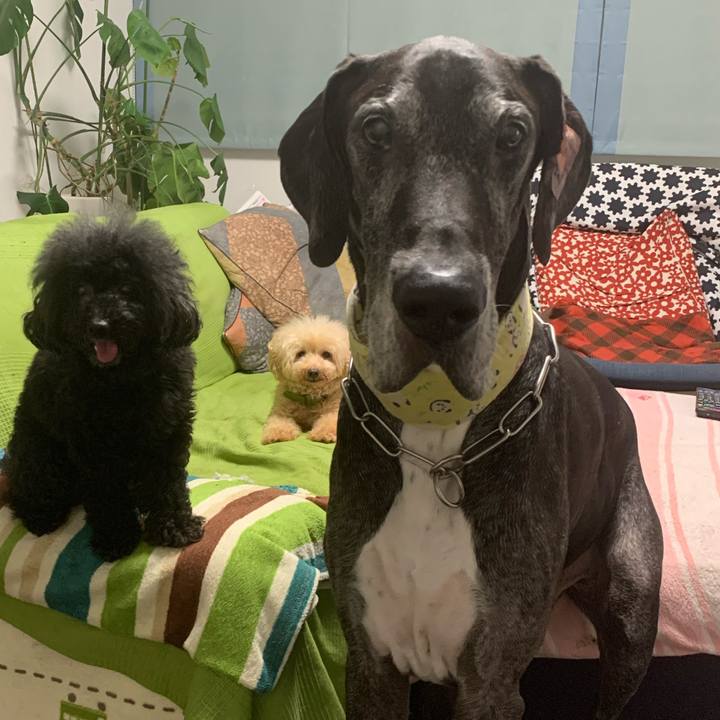 72232102 20cb 4dc2 8b92 a127667d3451 1599386146568