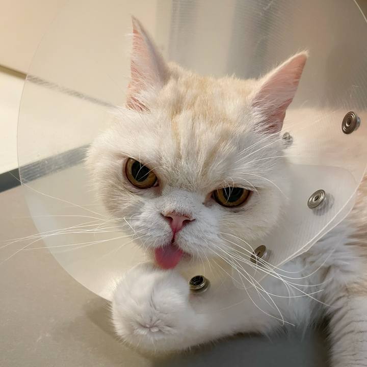 72232d09 f28d 4065 8bfd 22c0e5a4c970 1757218324246