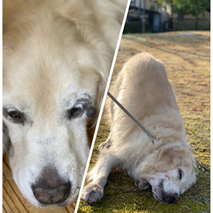 72234d07 c27d 4231 8d10 bfc42456d6da 1607734416166