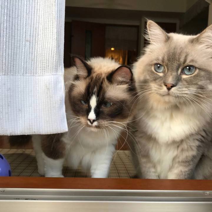 7223574e 1703 4092 a072 e1cc865db363 1694428092417