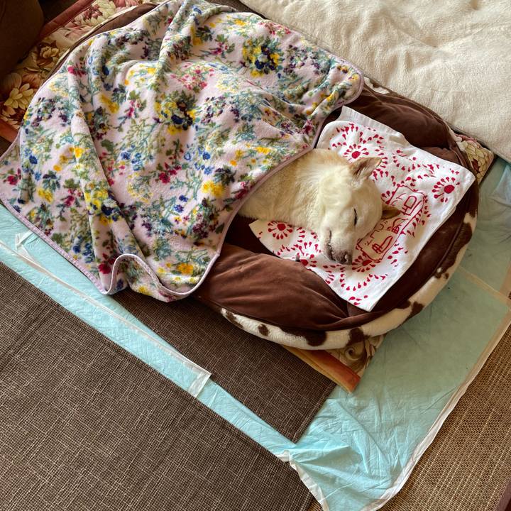 72238080 ffac 4533 bf03 cea72a3586a4 1676523741206