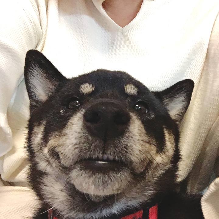 72239113 d4eb 4868 a521 5e6f15bed3ed 1565864246242