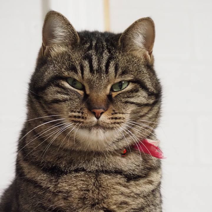 7223a3e0 013b 4509 83ef f9a6f3363281 1609673901294