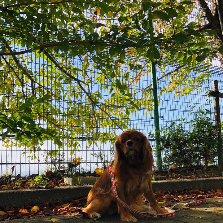 7223afb0 3843 4f6a 82fe 1ed5178a54ad 1570282045418