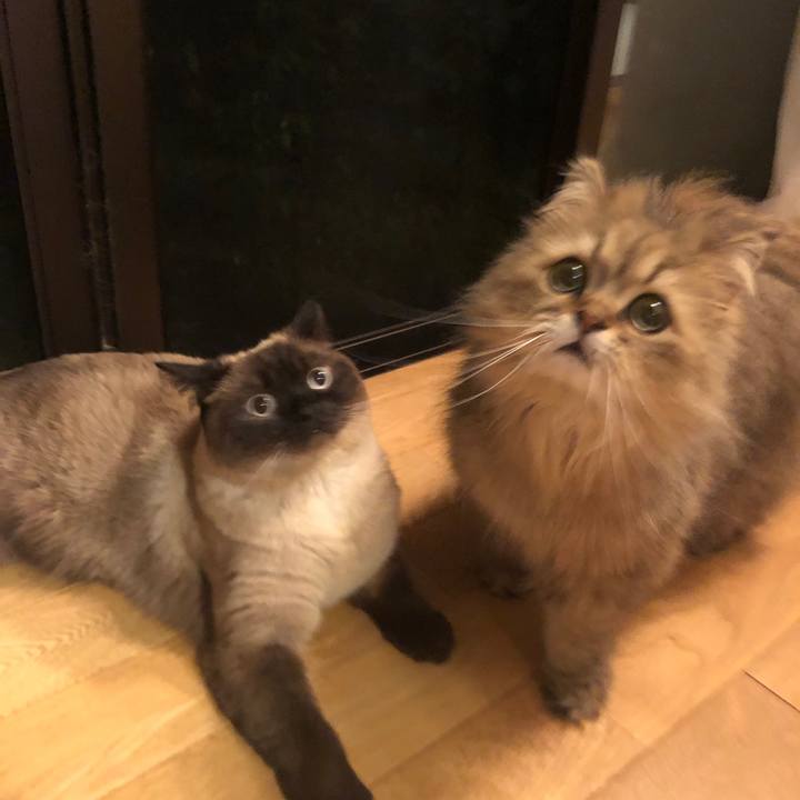 72240173 c5db 4238 b216 98b376c9394c 1623153881393