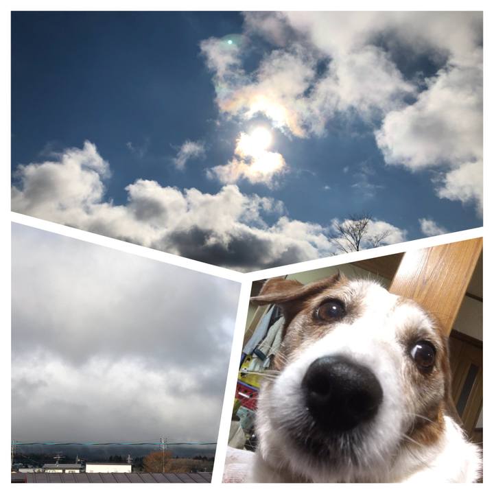 72242d0e a57c 4c66 b879 3dd907f97463 1511742230914